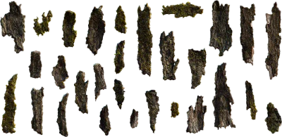 mossy bark 001 — Descargar