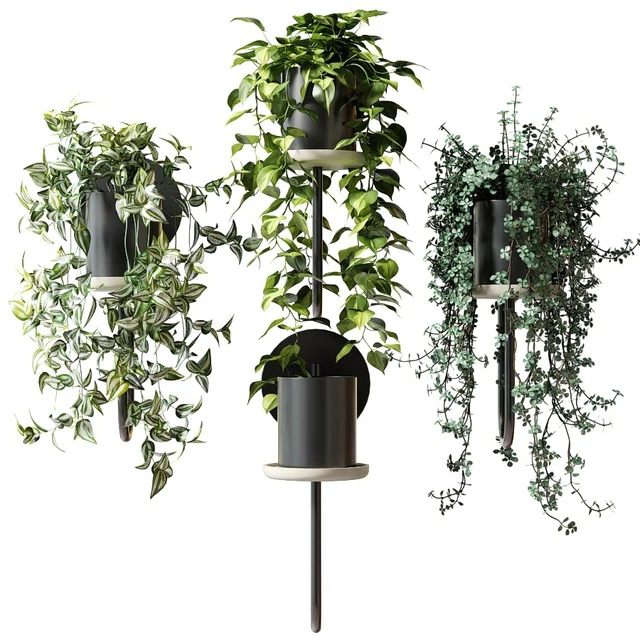 Ампельные растения в настенных кашпо CIGALES WALL От Miniforms — Скачать