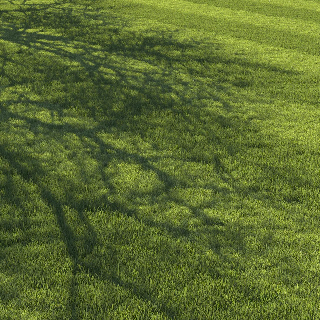 Football pitch lawn — Скачать