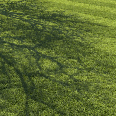 Football pitch lawn — Вид 6
