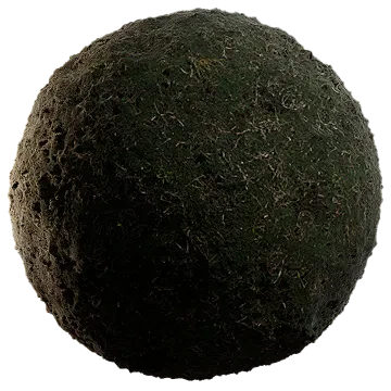 dried grass on moss 001 — Descargar