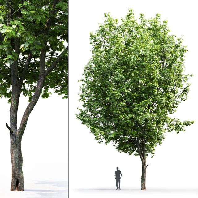 Acer — Descargar