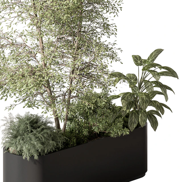 Plant Box - Outdoor Plants 515 — Скачать