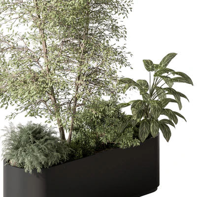 Plant Box - Outdoor Plants 515 — Вид 6