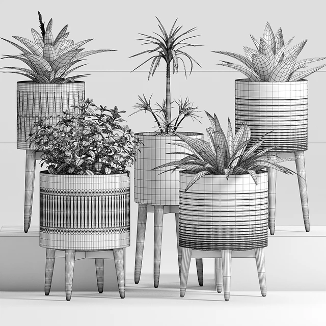 Plant Set -24 — Descargar