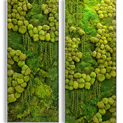 panel jungle — Вид 5