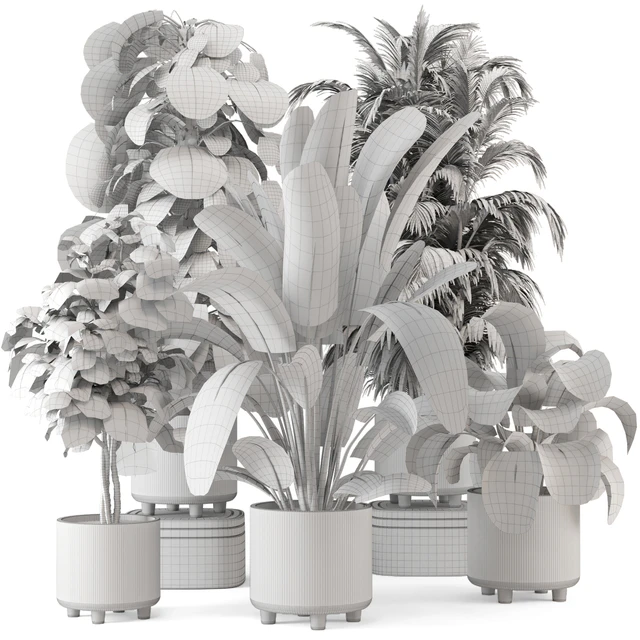 Indoor Planters in Cecilia Ficonstone Pot - Set 969 — Descargar