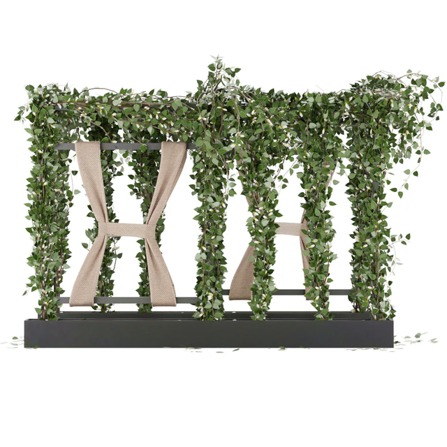 Collection plant vol 28 — Descargar