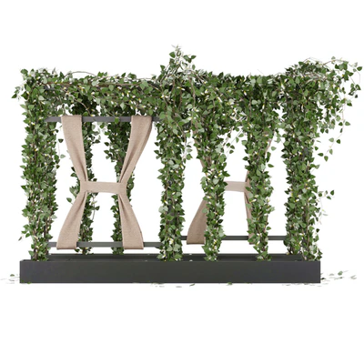 Collection plant vol 28 — Ver 4