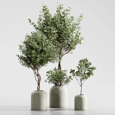 Indoor Plant 09 — Вид 4