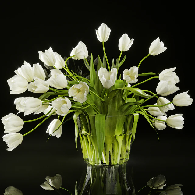 Tulips — Descargar