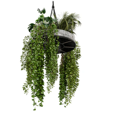 Indoor Hanging Plants in Metal Box - Set 86 — Вид 5