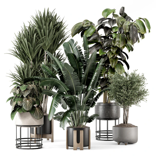 Indoor Plants in Ferm Living Bau Pot Large - Set 1351 — Скачать