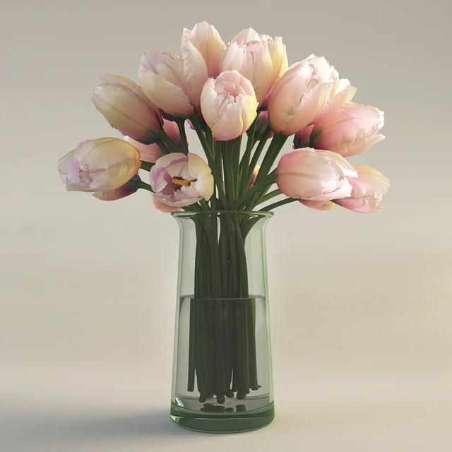 Tulips, Tulips — Descargar