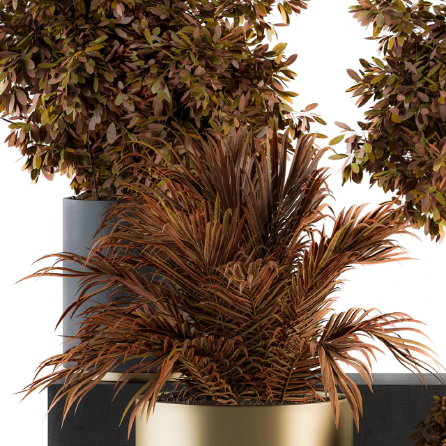 indoor Plant Set 91 - Black and Gold(Red Plant) — Скачать