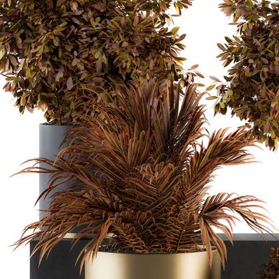 indoor Plant Set 91 - Black and Gold(Red Plant) — Вид 5