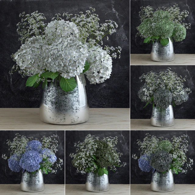 Bouquet of Gypsophila with Hyndrangeas — Скачать