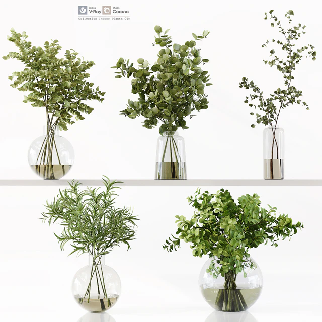 Collection Indoor Plants 049 — Descargar