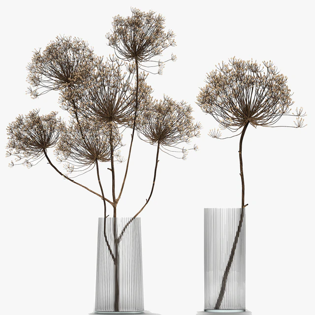 Bouquet of dried flowers in a glass vase with dry branches Hogweed . 158. — Descargar