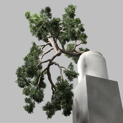 bonsai tree vase old concrete dirt pot — Ver 4