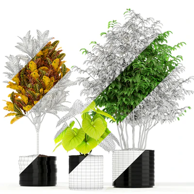 Plants collection 183 — Вид 2