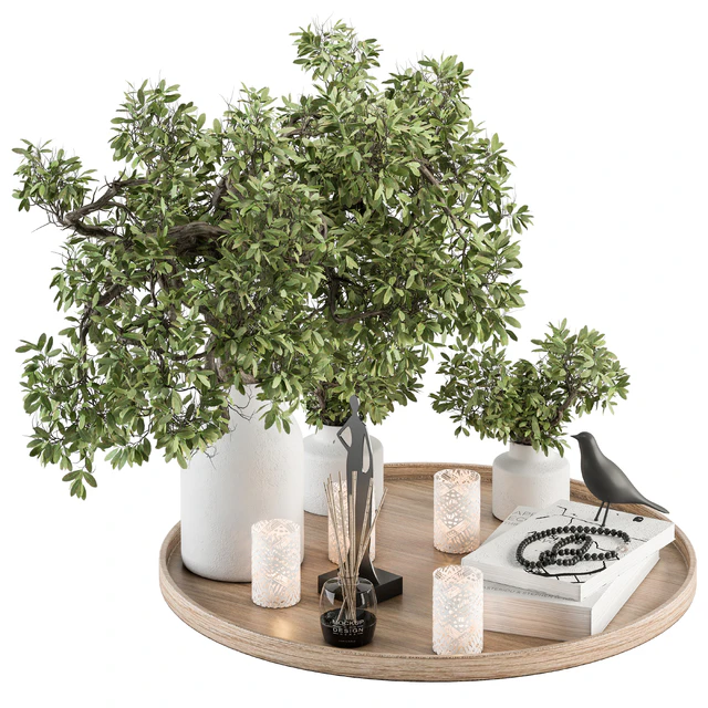 Wood and Green Decorative Set with Bouquet in Tray - Set 112 — Скачать