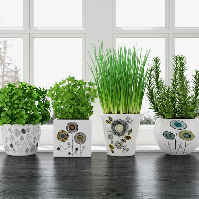 Herbs in pots — Descargar