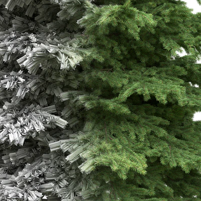 Spruce — Вид 3