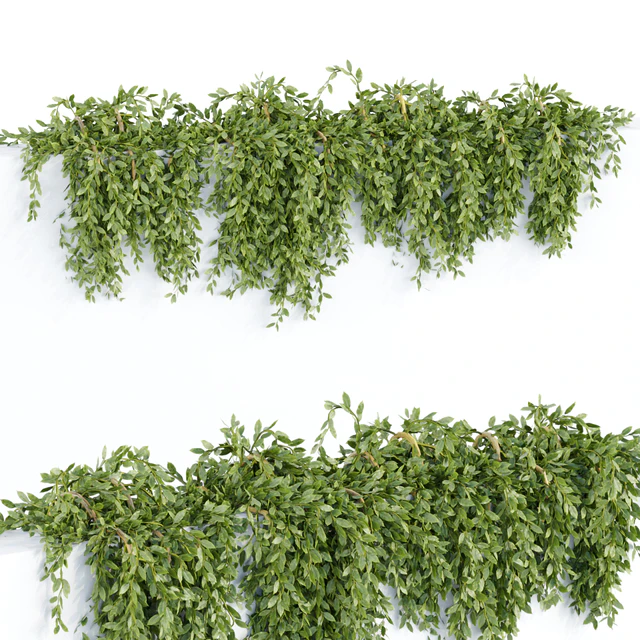Hanging wall plants collection vol 64 — Скачать