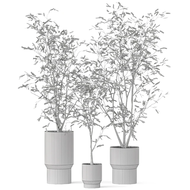 Plants collection 900 — Скачать