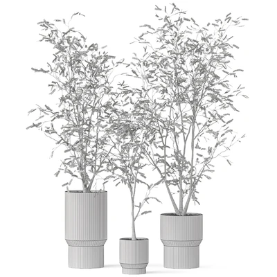 Plants collection 900 — Вид 5