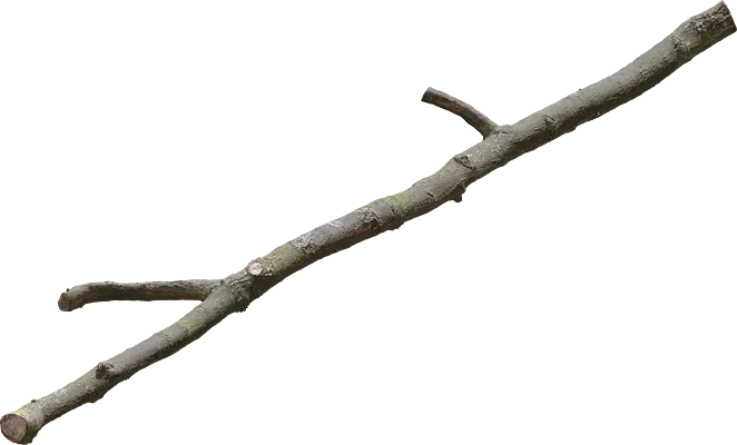 oak branch 002 — Descargar