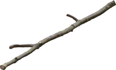 oak branch 002 — Descargar