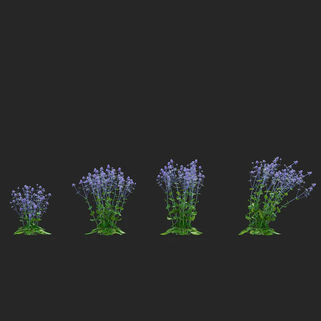 Cinegolovnik flat-leaved flowers | Eryngium planum — Descargar