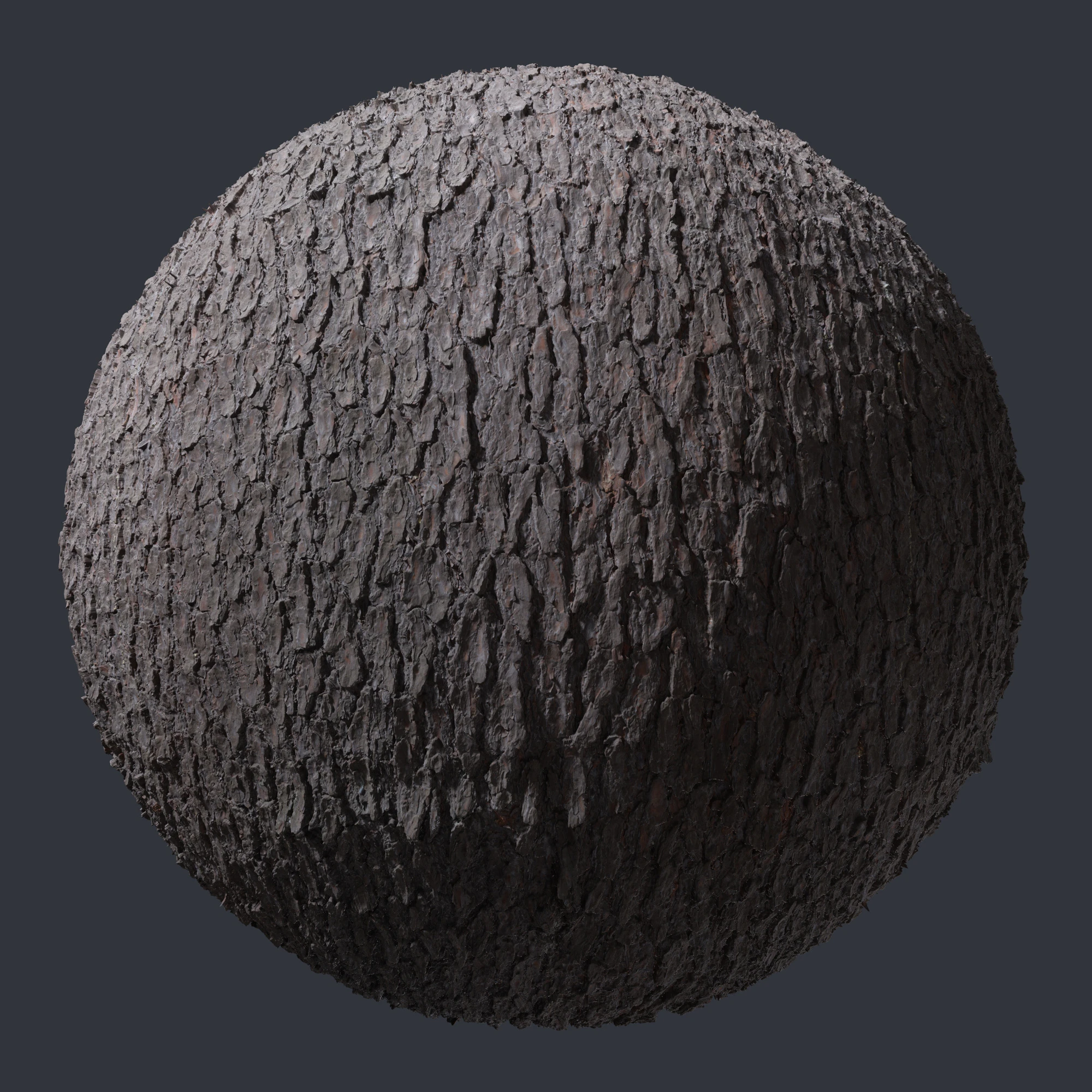 pine bark 005 — Download