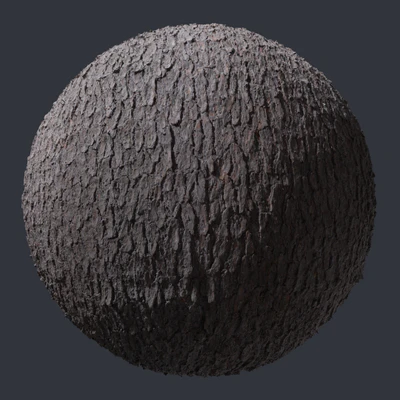 pine bark 005 — download