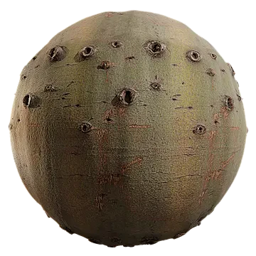 chestnut bark 001 — Download