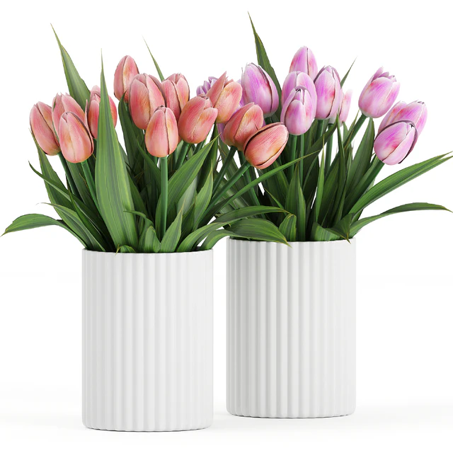 Flower Pack 250C Tulips — Descargar