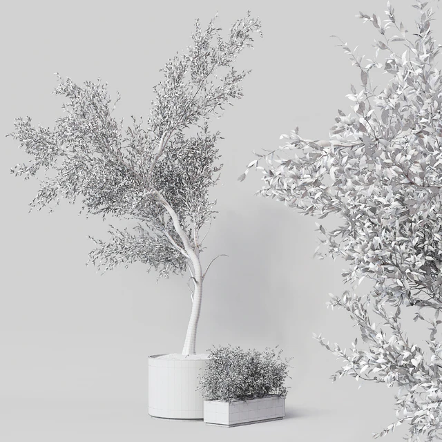Indoor Plant 010 — Descargar