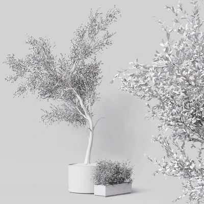 Indoor Plant 010 — Ver 4