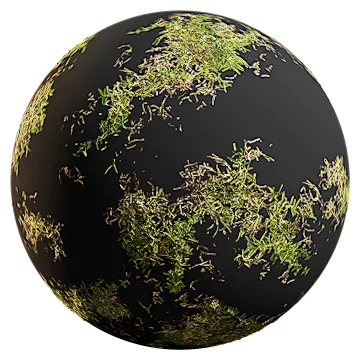 buffalo grass 007 — Скачать