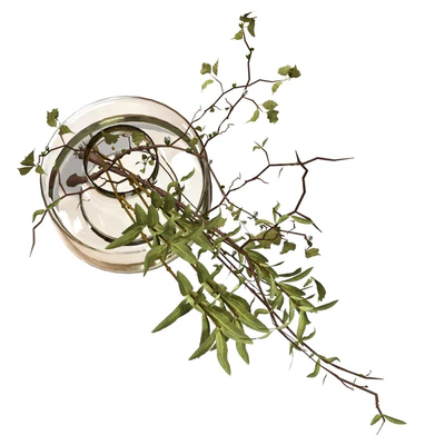 Bouquet of olive branches and wood — Ver 5