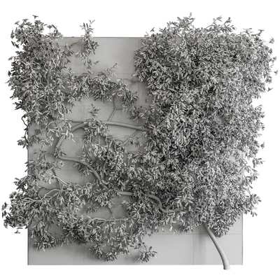 Outdoor Plant Set 426- Ivy on Wall — Вид 5
