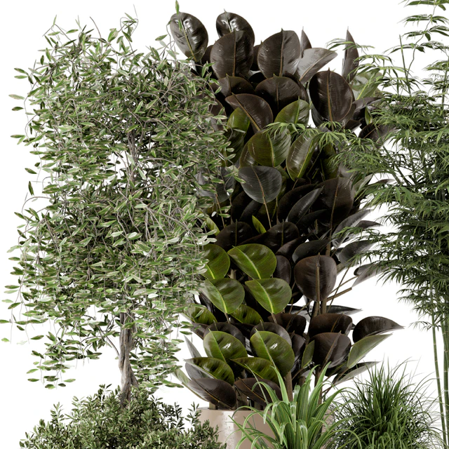 Indoor Plants in rusty Concrete Pot - Set 229 — Descargar