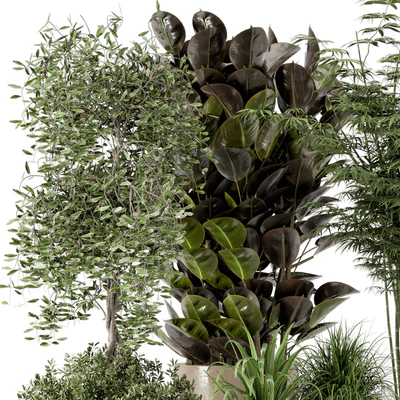 Indoor Plants in rusty Concrete Pot - Set 229 — Ver 7