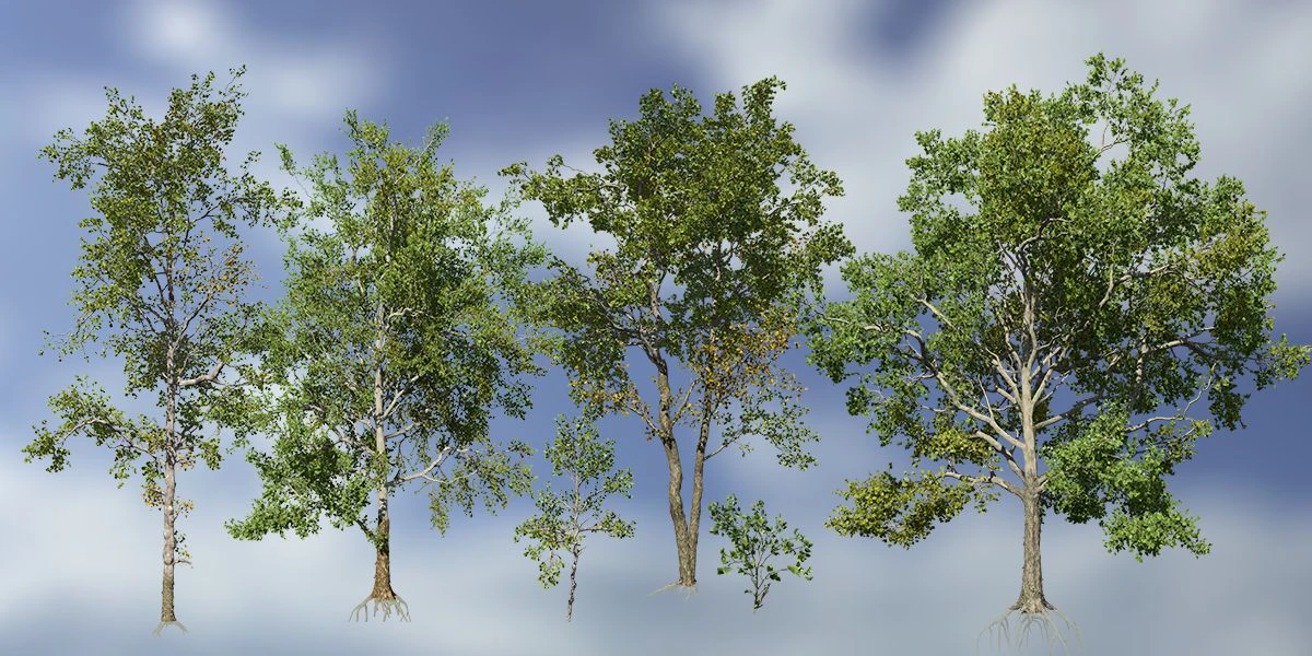 sycamore pack — Скачать