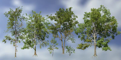 sycamore pack — download