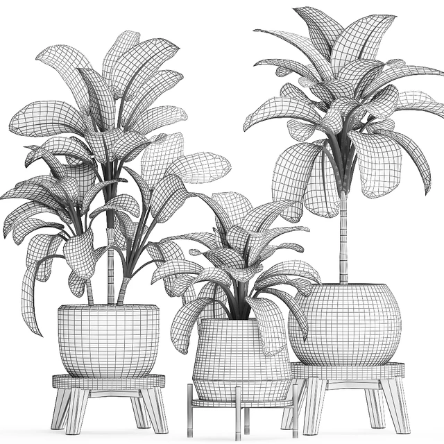 Collection of small plants in modern stylish round pots on legs with Diffenbachia, luxury. Set 452. — Descargar