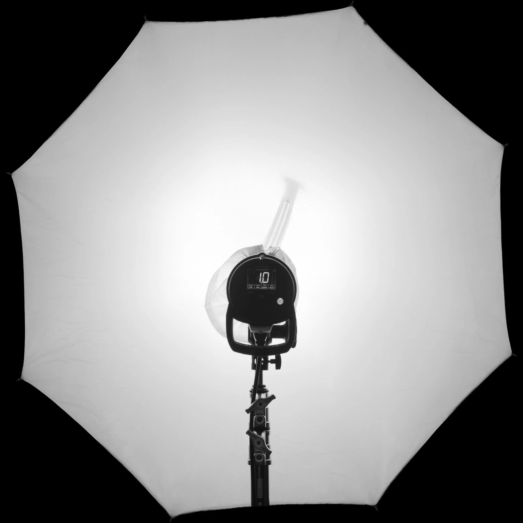 rls026 profoto umbrella lastolite white difuser — Скачать