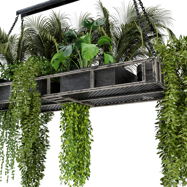 Indoor Hanging Plants in Metal Box - Set 71 — Скачать
